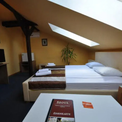 Spare Hotel 2* Полулюкс с различными типами кроватей фото 10
