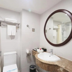 Nova Luxury Hotel 3* Номер Делюкс разные типы кроватей фото 7