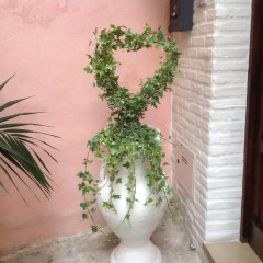 Отель B&B La Maison Del Borgo Antico Бари фото 6
