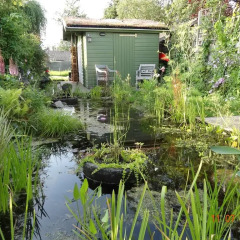 Отель Amsterzonian B&B Нидерланды, Амстердам - отзывы, цены и фото номеров - забронировать отель Amsterzonian B&B онлайн фото 5