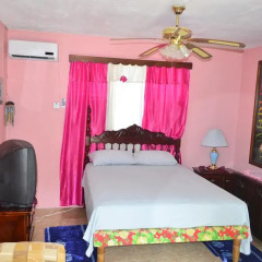 Отель Little Shaw Park Guest House 2* Стандартный номер с различными типами кроватей фото 11