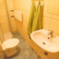 Green Jurmala Hostel Номер Комфорт с различными типами кроватей фото 3