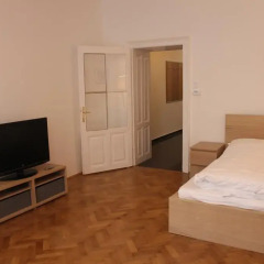 Отель Stadthalle - FamilyCityApartment Австрия, Вена - отзывы, цены и фото номеров - забронировать отель Stadthalle - FamilyCityApartment онлайн комната для гостей фото 5