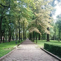 Отель Home Hotel Bishkek Кыргызстан, Бишкек - отзывы, цены и фото номеров - забронировать отель Home Hotel Bishkek онлайн фото 2