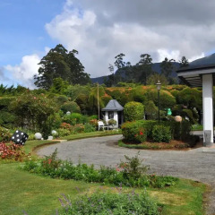 Отель Royal Cocoon - Nuwara Eliya фото 14