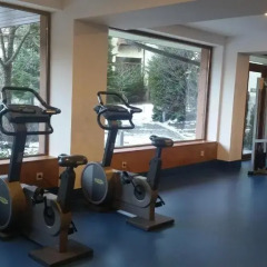 Отель Strazhite Hotel - Half Board Болгария, Банско - отзывы, цены и фото номеров - забронировать отель Strazhite Hotel - Half Board онлайн фитнесс-зал фото 2