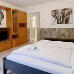 Апартаменты Manu Apartment Вена комната для гостей фото 2