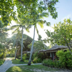Отель Castaway Island Fiji 4* Стандартный номер с различными типами кроватей фото 7