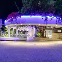 Отель Bali Paradise Hotel Греция, Милопотамос - отзывы, цены и фото номеров - забронировать отель Bali Paradise Hotel онлайн фото 5