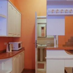 Апартаменты Central Apartments Львов Студия фото 10
