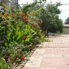Гостиница МаркоПолоСочи в Сочи отзывы, цены и фото номеров - забронировать гостиницу МаркоПолоСочи онлайн парковка