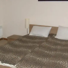 Апартаменты Eagle Lodge Apartments Банско комната для гостей фото 2