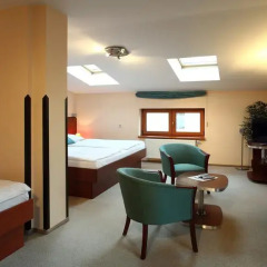Отель Palace Plzen 3* Номер Делюкс фото 8