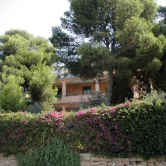 Отель Bed and Breakfast Casa del Mandorlo Сиракуза фото 2