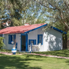 Mavi Zeytin Butik Otel Бунгало с различными типами кроватей фото 4