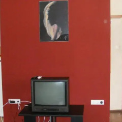 Апартаменты Palatinus Apartment удобства в номере