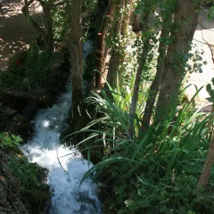 Отель El Molino De Iramala Патерна-дель-Мадера фото 10