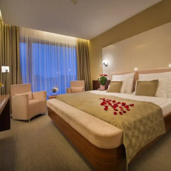 Wellness Hotel Diamant Глубока-над-Влтавой комната для гостей фото 4