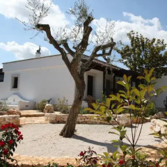 Отель B&B Marchione Конверсано развлечения