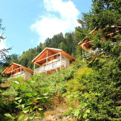 Ayder Cise Dag Evleri Шале с различными типами кроватей фото 18