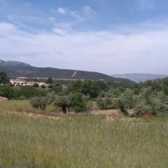 Отель Casa Rural La Alquería del Pilar Баньерес-де-Мариола фото 4