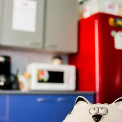 Cheshire Cat Hostel Кровать в общем номере фото 21