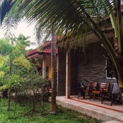 Отель Coconut Bungalow гостиничный бар
