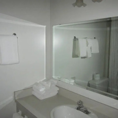 Отель Chalet Continental Motel ванная