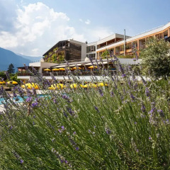 Отель theiners garten BIO Vitalhotel ****Superior Италия, Горнолыжный курорт Ортлер - отзывы, цены и фото номеров - забронировать отель theiners garten BIO Vitalhotel ****Superior онлайн бассейн фото 3