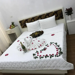 Hanoi Light Hostel Улучшенный номер с различными типами кроватей фото 6