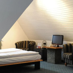 Отель Waldhotel Unterbach 2* Стандартный номер с различными типами кроватей фото 3