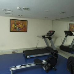 Topkapi Inter Istanbul Hotel фитнесс-зал