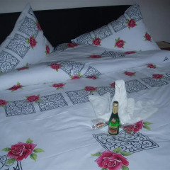 Отель Bed&Breakfast Denggenhof 3* Стандартный номер с различными типами кроватей