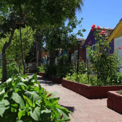 Kuba Beach Hotel Турция, Сиде - отзывы, цены и фото номеров - забронировать отель Kuba Beach Hotel онлайн фото 5