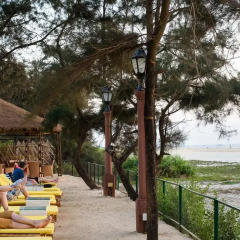 Отель Beleza By The Beach Индия, Гоа - 1 отзыв об отеле, цены и фото номеров - забронировать отель Beleza By The Beach онлайн пляж фото 2