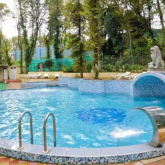 Гостиница Империя в Сочи - забронировать гостиницу Империя, цены и фото номеров бассейн фото 3
