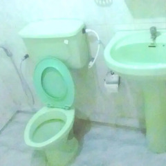 Отель Green Garden Guest House Шри-Ланка, Берувела - 1 отзыв об отеле, цены и фото номеров - забронировать отель Green Garden Guest House онлайн бассейн