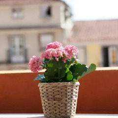 Отель Flores Guest House 4* Улучшенный номер с различными типами кроватей фото 17