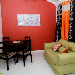 Отель Barbican Manor Apartment Ямайка, Кингстон - отзывы, цены и фото номеров - забронировать отель Barbican Manor Apartment онлайн комната для гостей фото 3