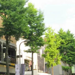 Отель JG House
