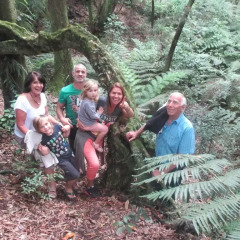 Отель Kauri Lodge