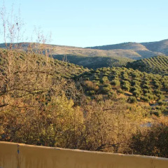 Отель Casa El CastaÑo Алькаудете фото 2