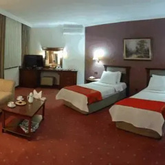 Saffron Hotel Kahramanmaras 4* Стандартный номер с различными типами кроватей фото 4