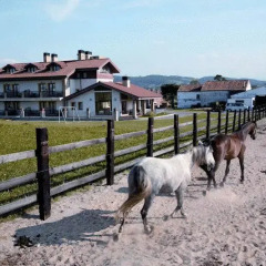 Отель Rancho Santa Geronima с домашними животными