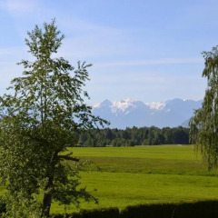 Апартаменты Kal's Studio Apartment Salzburg Зальцбург спортивное сооружение