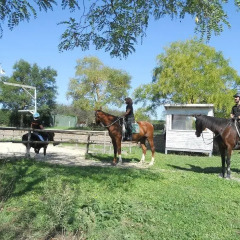 Отель Cavallo Di Fiori - Agriscuderia Непи спортивное сооружение