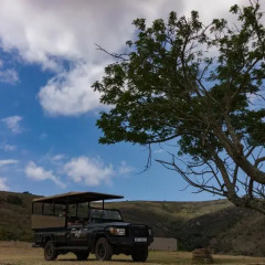 Отель Addo Elephant Lodge & Safaris парковка