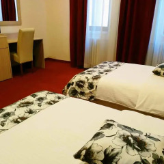Hotel N с домашними животными