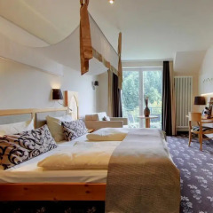 Отель Akzent Waldhotel Rheingau 4* Номер Комфорт с различными типами кроватей фото 6