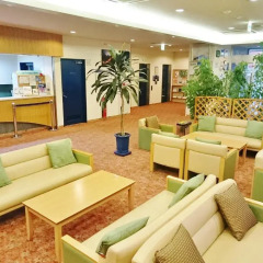 Rishiri Fuji Kanko Hotel 3* Стандартный номер фото 17